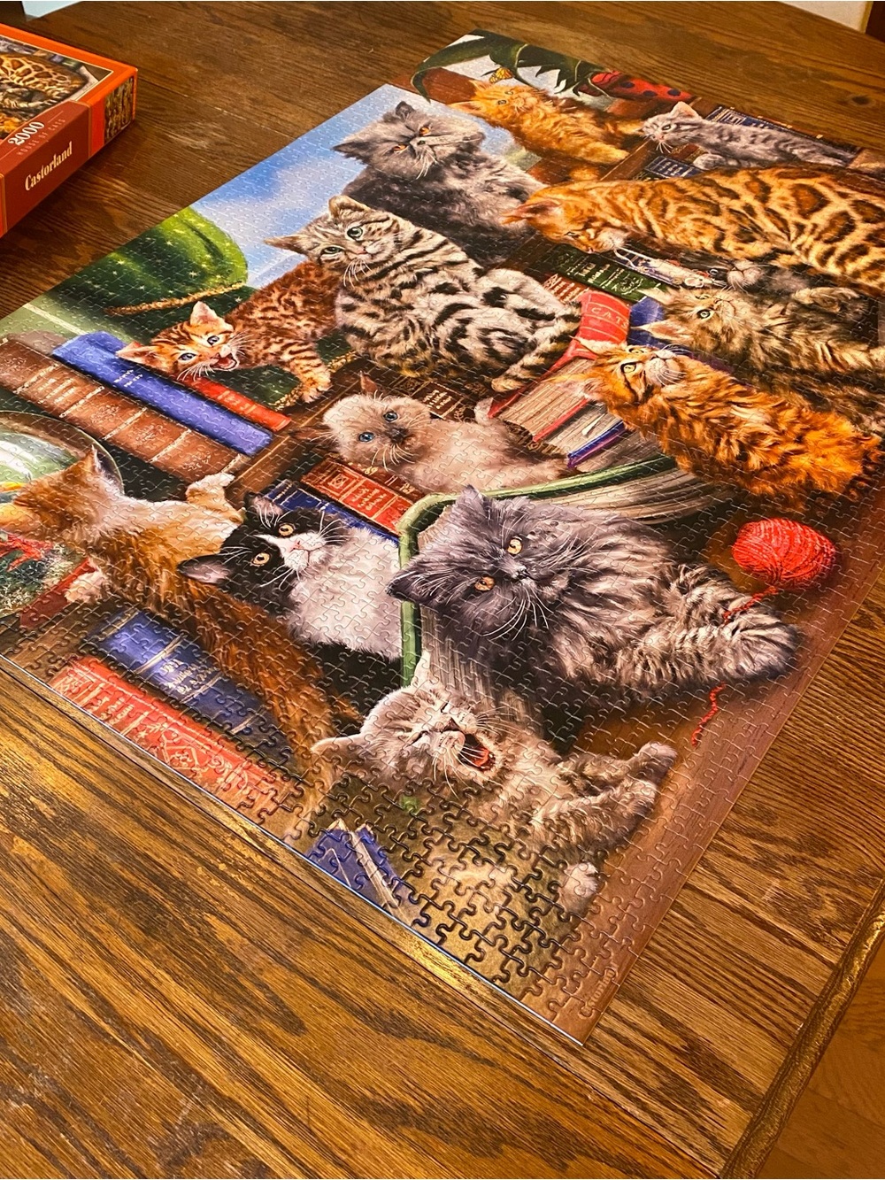 2000-Piece Cat Collage Puzzle - Multicolor - Picture 2 of 3